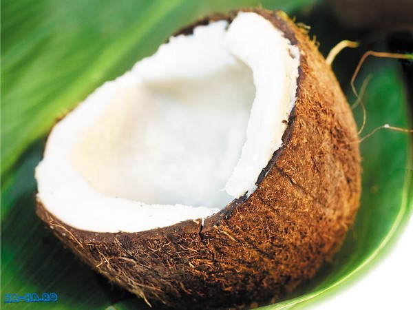 Imagini poze Nuca de cocos